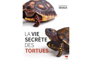 La vie secrète des tortues - Bernard DEVAUX